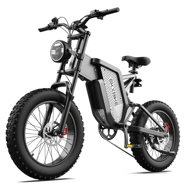 EKX X20 Electric Bike Mountain Moped Ebike 20 Inch Fat Tire 2000W 48V 35AH Men&